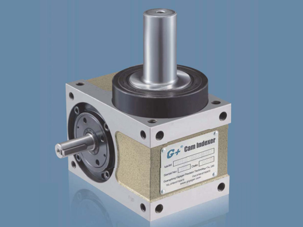 Bản vẽ Cam Indexer dạng mặt bích kết hợp trục DFS Flange Shaft Gigager