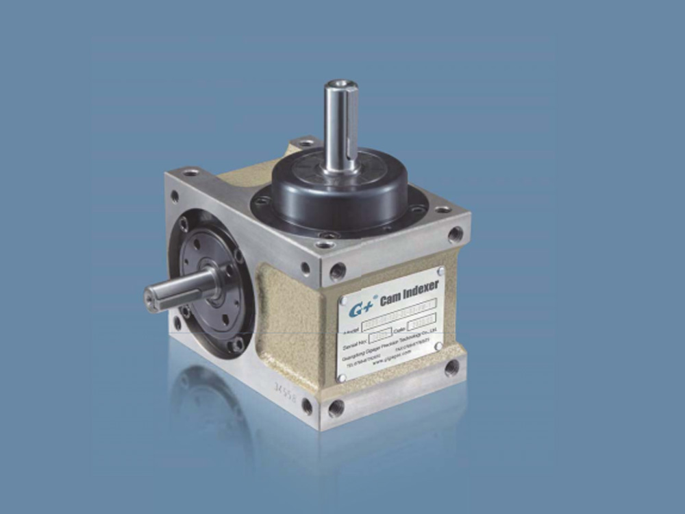 Bản vẽ Cam Indexer dạng trục DS Shaft Gigager